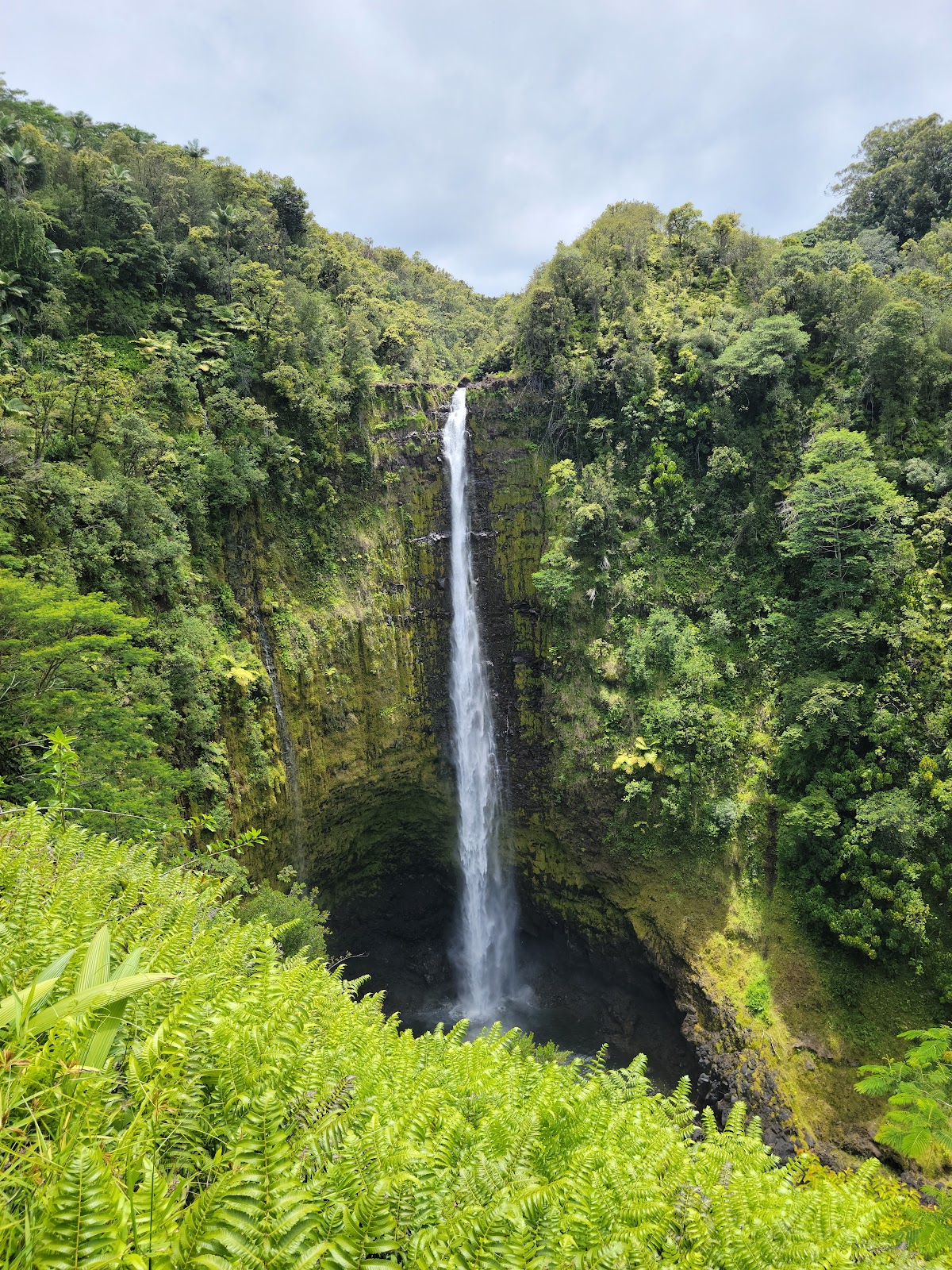 Akaka Falls State Park