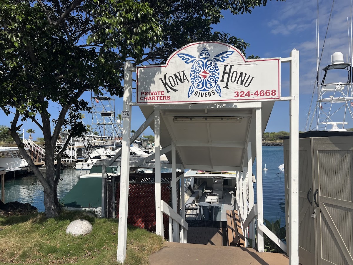 Night Scuba with Pelagic Creatures — Kona Coast, Big Island, Hawaii