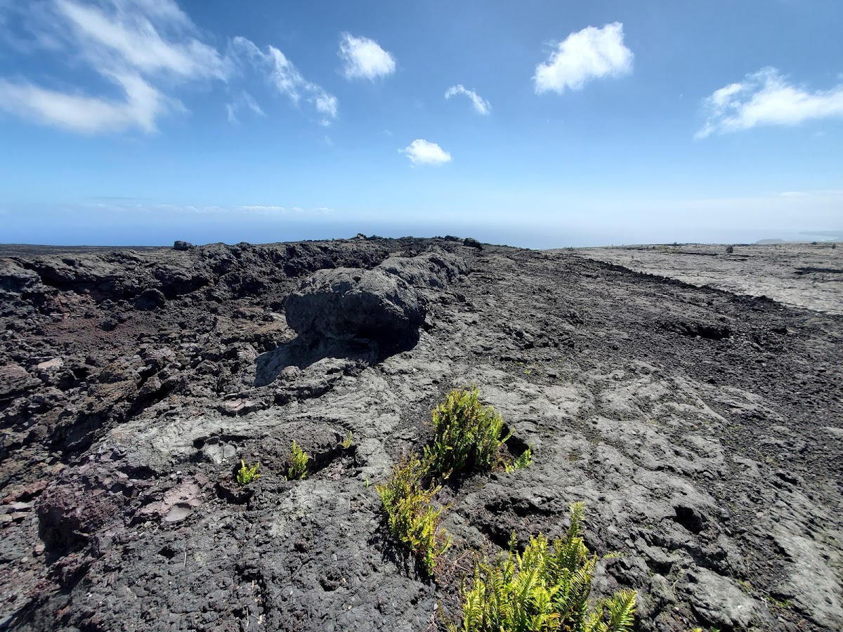 Chain of Craters Road — Volcano, Big Island, Hawaii