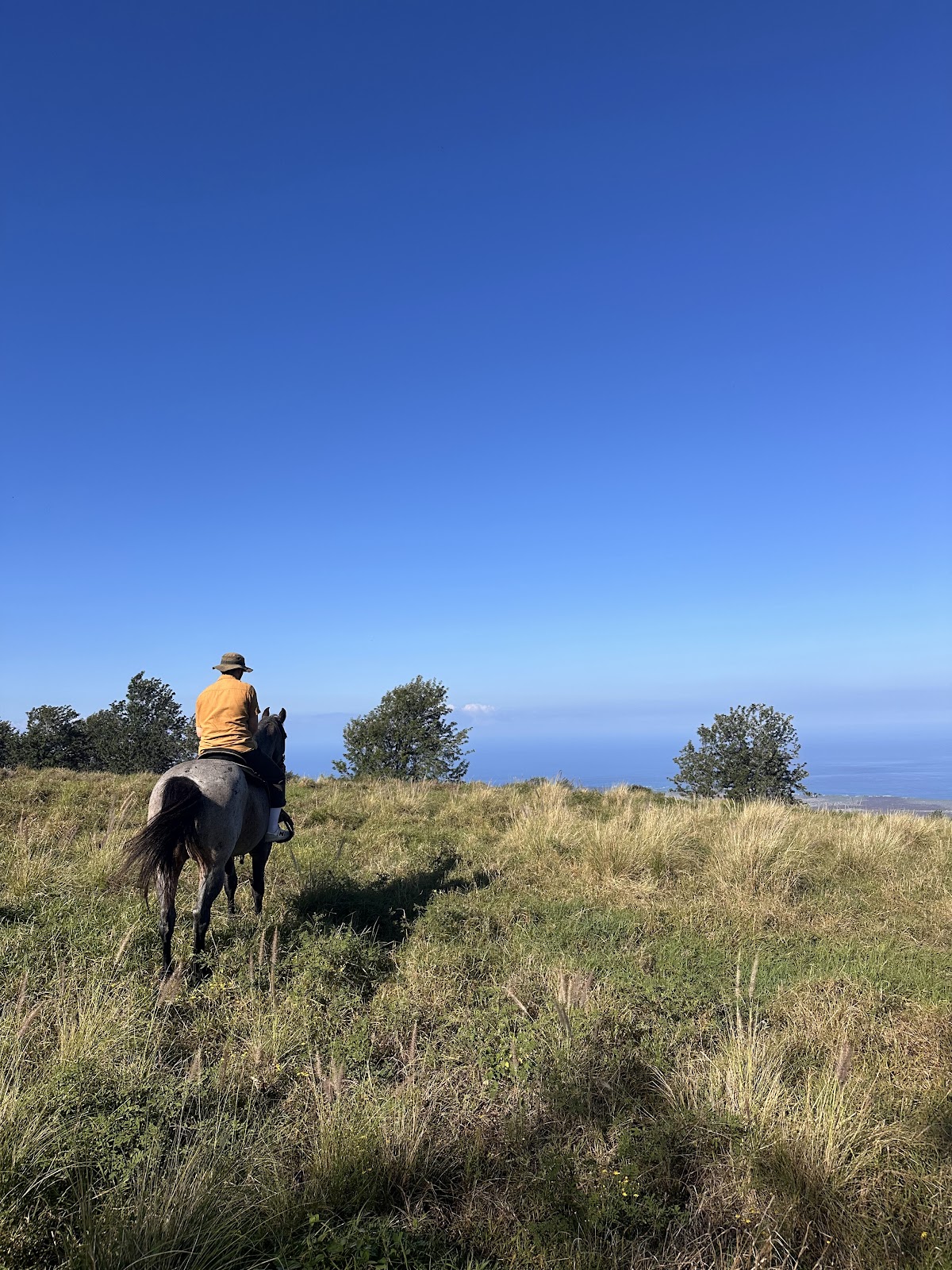 Dahana Ranch Horseback Ride