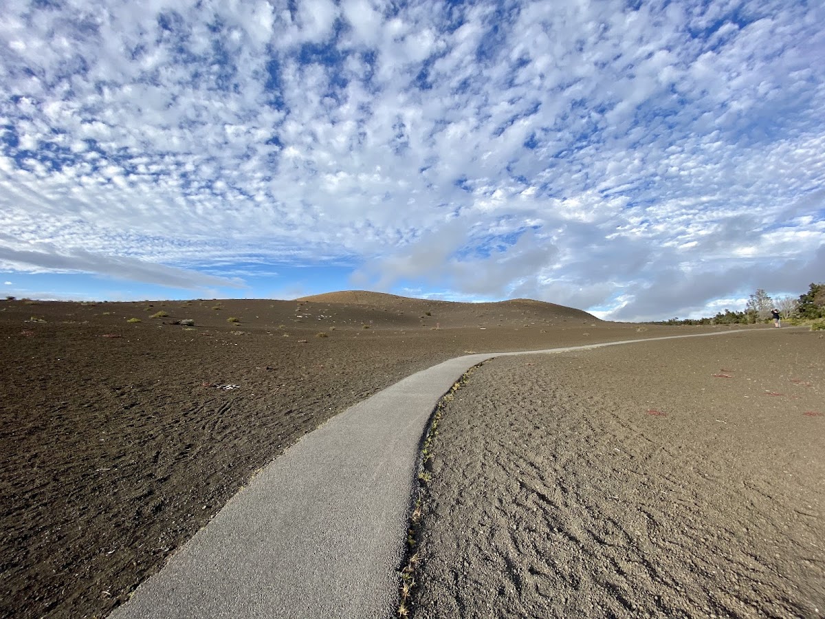 Devastation Trail — Volcano, Big Island, Hawaii