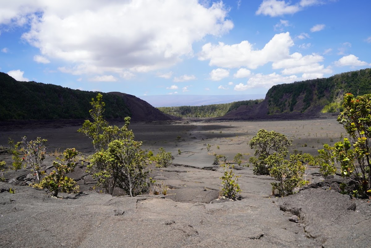 Kilauea Iki Trail
