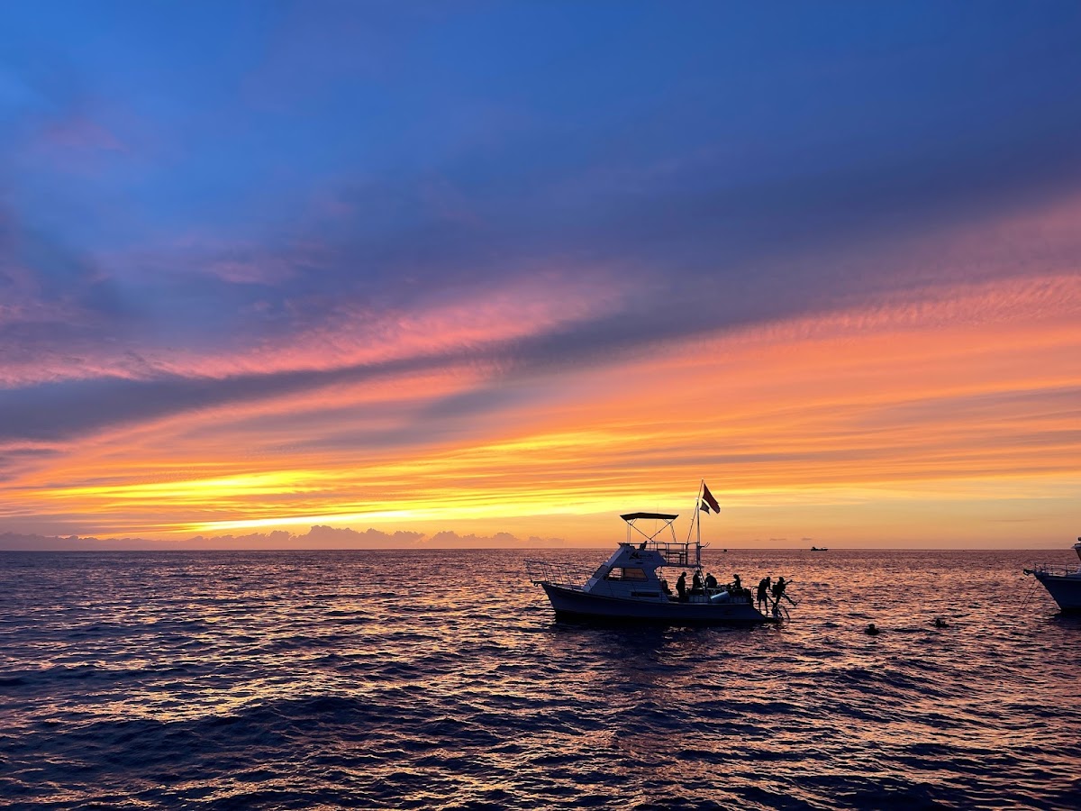 Manta Ray Night Dive — Kona Coast, Big Island, Hawaii