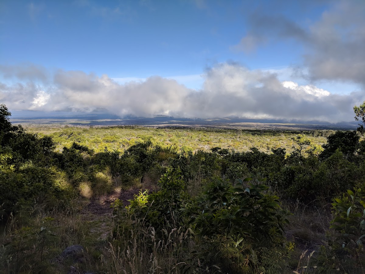 Mauna Loa Lookout Road — Volcano, Big Island, Hawaii