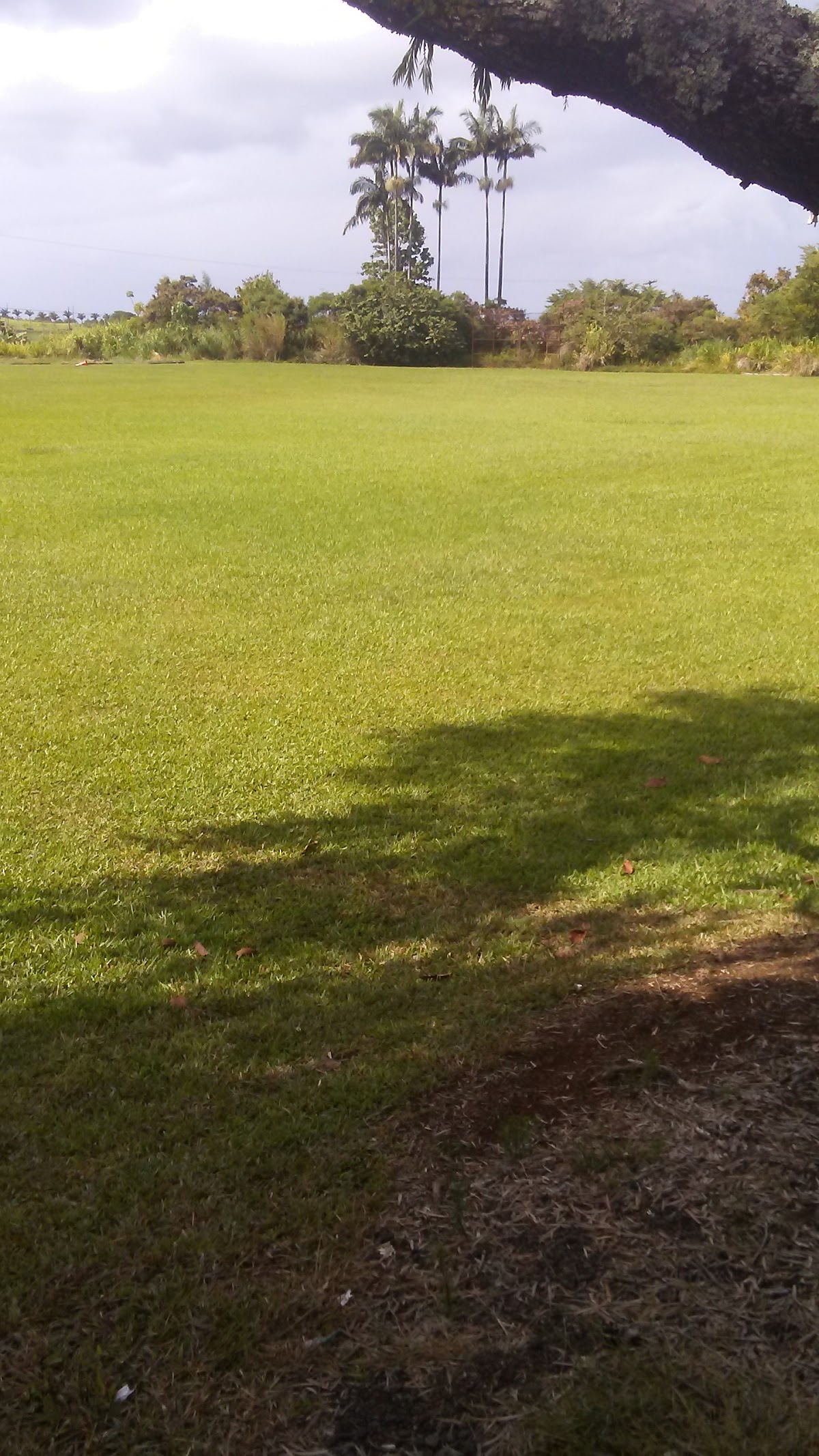 Pepe'ekeo Scenic Drive (Old Mamalahoa Highway)