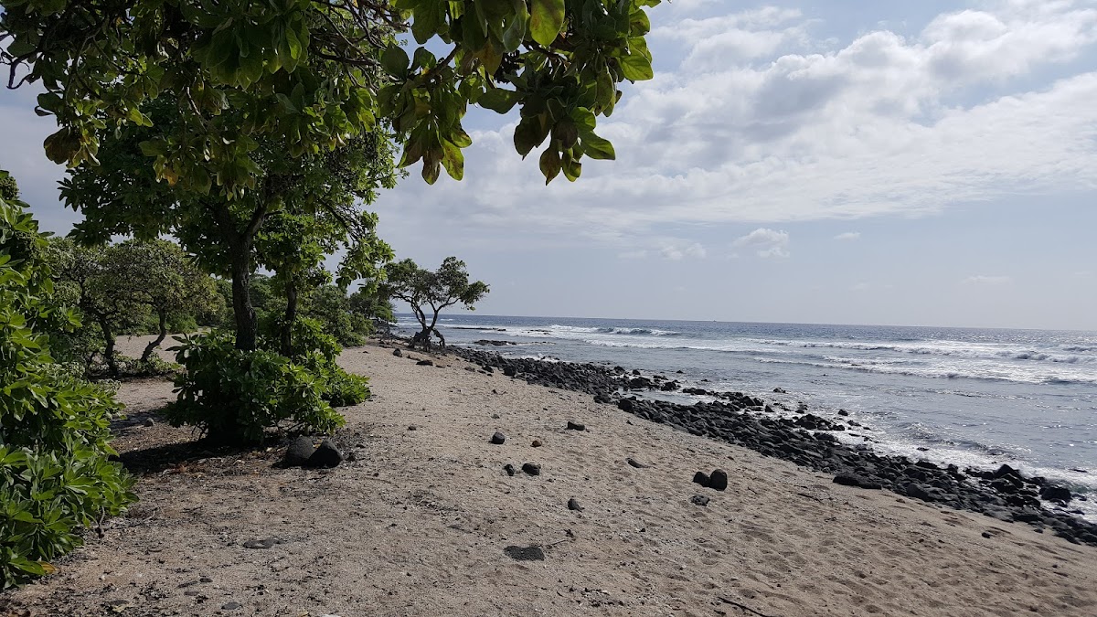 Pine Trees Surf Break — Kona Coast, Big Island, Hawaii
