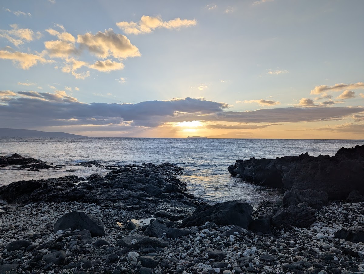 Ahihi-Kinau Natural Area Reserve Snorkeling β South Maui, Maui, Hawaii