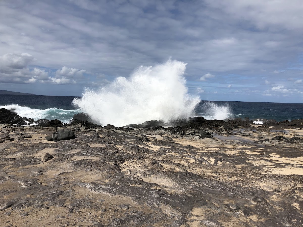 Dragon's Teeth at Makaluapuna Point