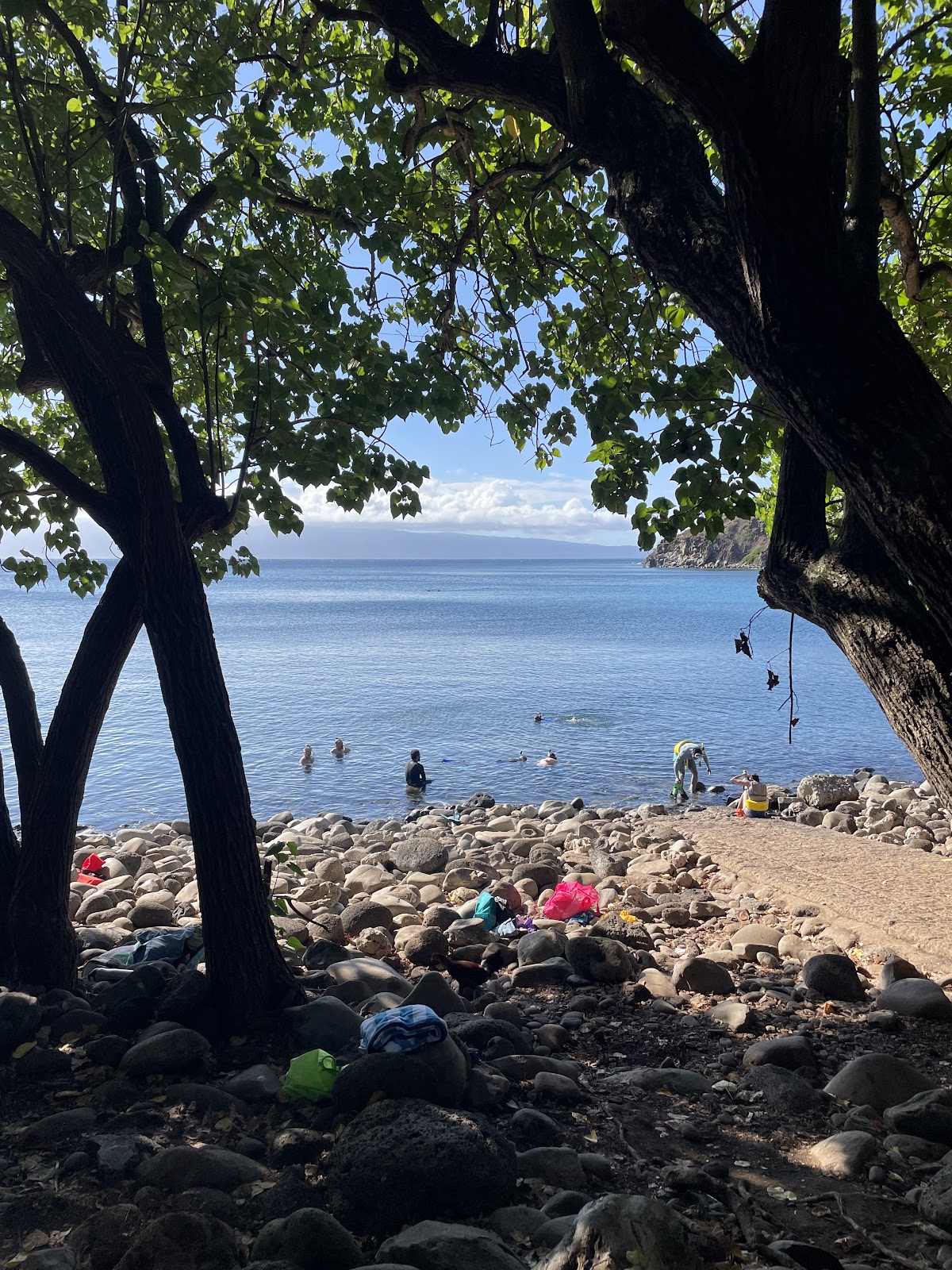 Honolua Bay Snorkeling