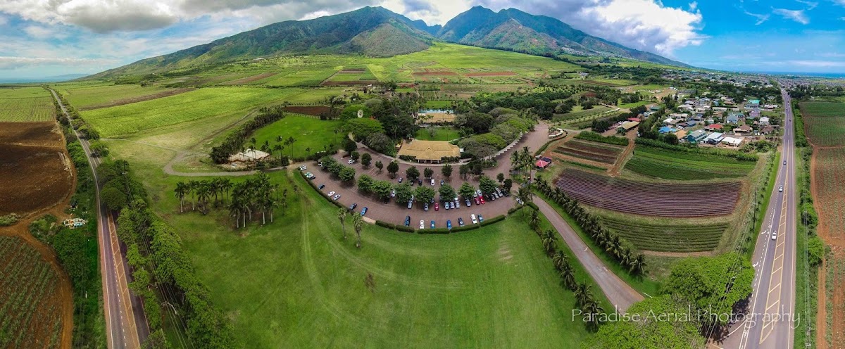 Maui Tropical Plantation